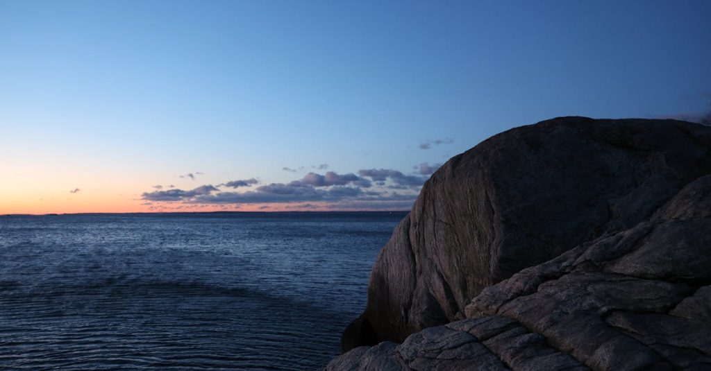 découvrez le concept d'omnituat infantile : une exploration fascinante des perceptions enfantines du pouvoir et du contrôle. à travers des analyses psychologiques et des études culturelles, plongez dans l'univers où les enfants croient en leurs capacités illimitées et comment cela influence leur développement.