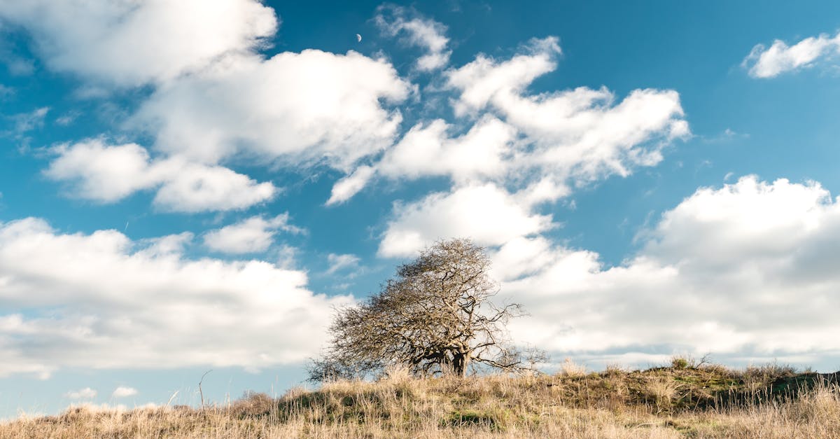 découvrez comment la dépression saisonnière impacte votre bien-être et explorez des solutions pour l'atténuer. apprenez à reconnaître les symptômes et à trouver des stratégies efficaces pour traverser les mois difficiles et retrouver la lumière.
