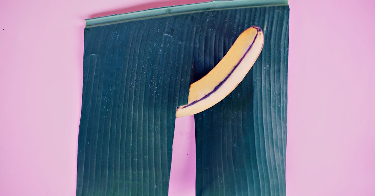 explorez les diverses déviances sexuelles, leurs implications psychologiques et sociologiques, ainsi que la manière dont elles sont perçues dans notre société actuelle. une approche ouverte et informative pour mieux comprendre la complexité de la sexualité humaine.