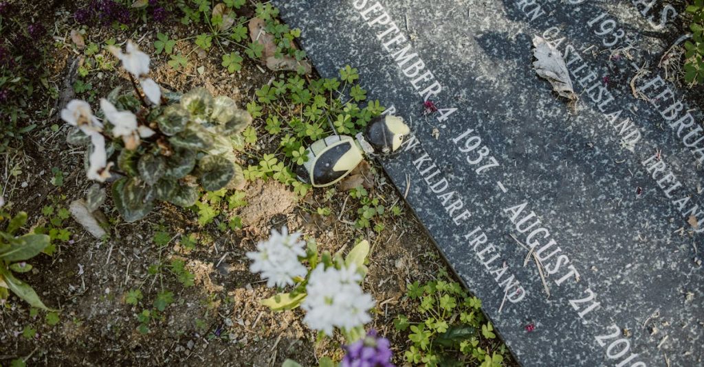 découvrez comment comprendre et surmonter la dépression saisonnière, un trouble affectif qui touche de nombreuses personnes pendant les mois d'hiver. apprenez des techniques de gestion, des conseils pratiques et des stratégies pour améliorer votre bien-être émotionnel tout au long de l'année.