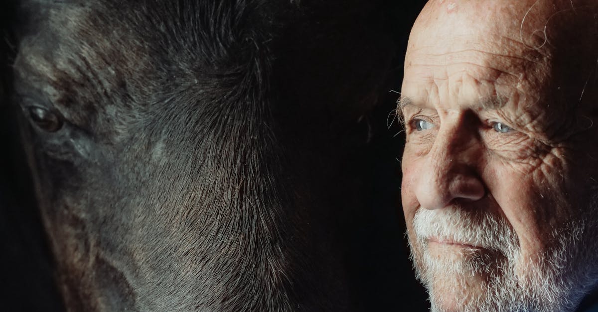 découvrez tout sur l'anxiété de séparation : causes, symptômes, et solutions pour aider les enfants et les adultes à surmonter cette épreuve émotionnelle. apprenez comment gérer et réduire l'anxiété liée à la séparation pour retrouver sérénité et confiance.