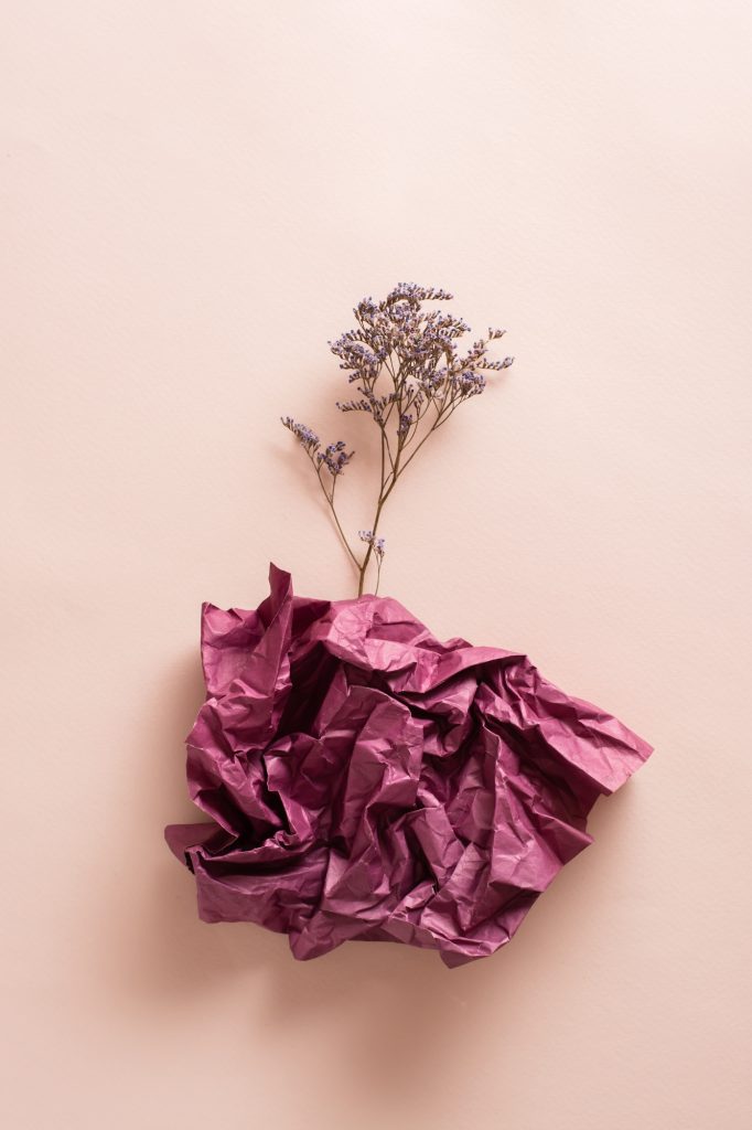 L’hypocondrie : comprendre l’impact de l’imaginaire sur la santé The concept of depression and stagnation. Dry flower from a wad of paper on a pink background