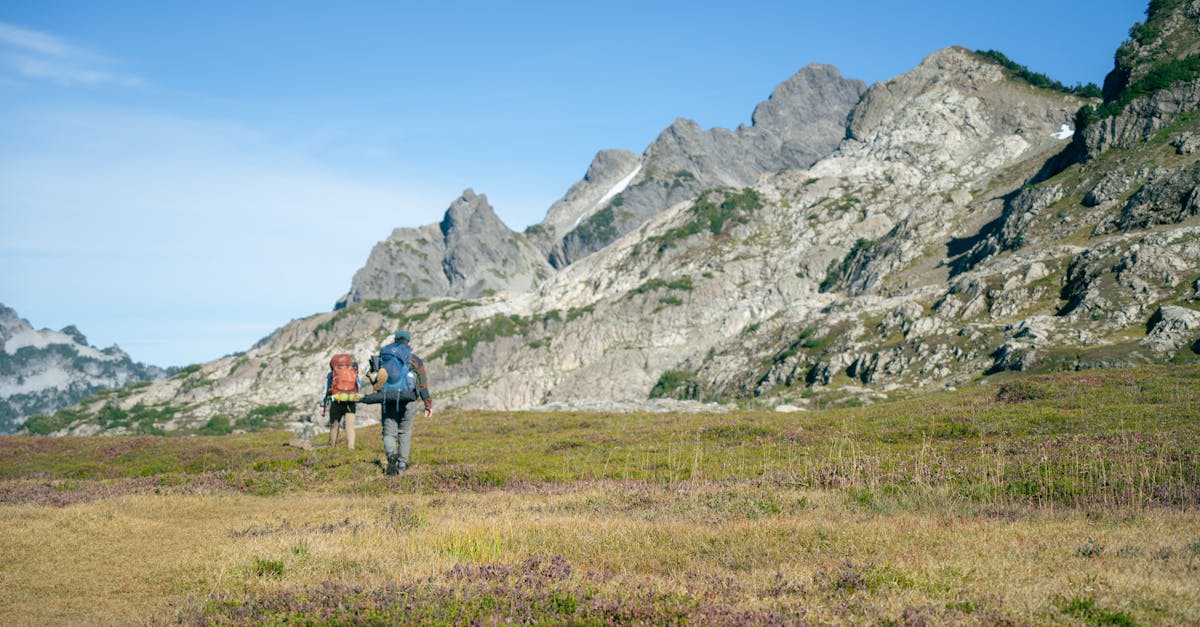 découvrez les différentes facettes de l'abandon, un thème poignant qui explore les émotions, les causes et les conséquences de cet acte. plongez dans des récits touchants et des réflexions sur la solitude, la perte et la reconstruction personnelle.