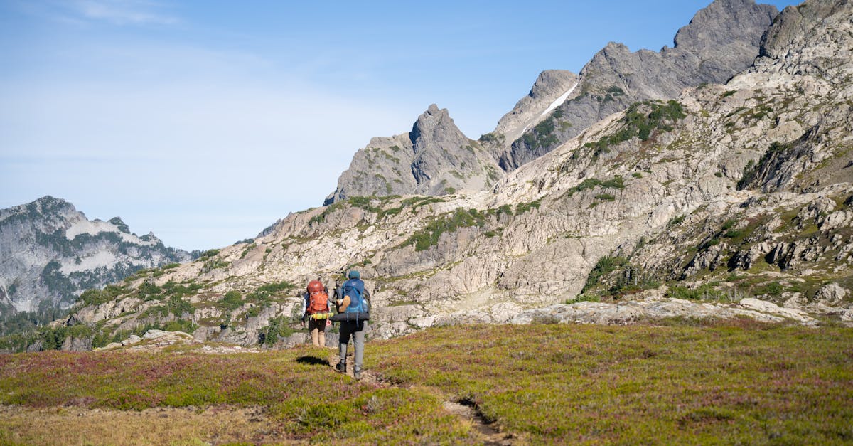 découvrez les différentes facettes de l'abandon, ses impacts émotionnels et psychologiques, ainsi que les moyens de surmonter cette épreuve. explorez des témoignages et des conseils pour apprendre à gérer le sentiment d'abandon et retrouver le chemin de l'épanouissement.