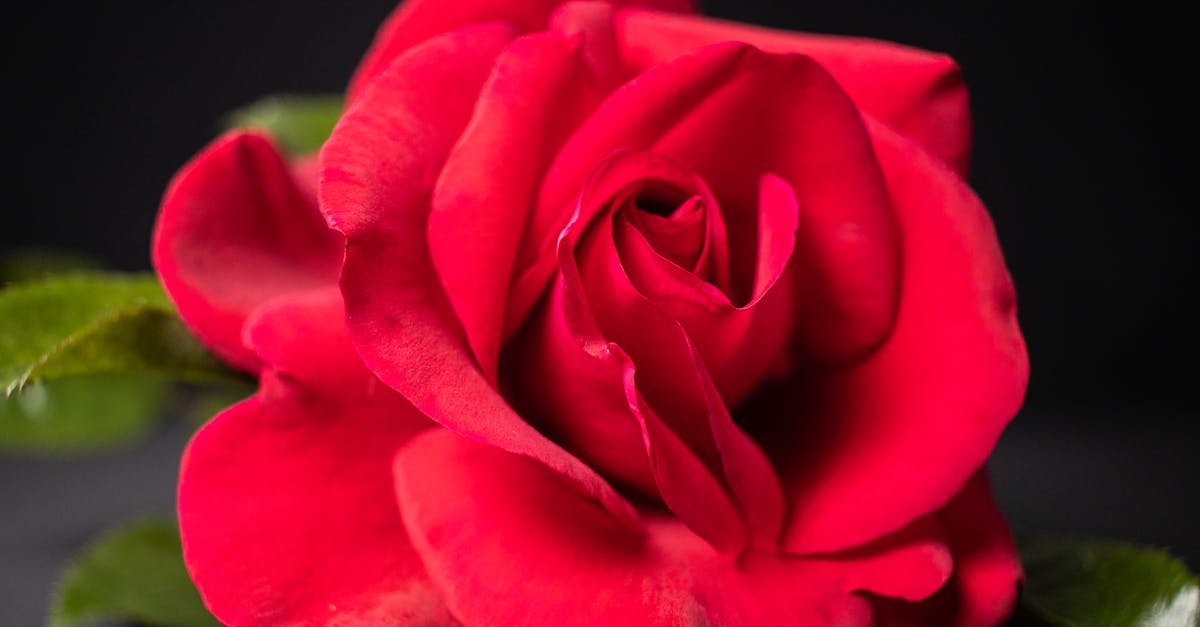 découvrez comment exploiter votre potentiel émotionnel pour améliorer votre bien-être et atteindre vos objectifs personnels. apprenez des stratégies pour renforcer votre intelligence émotionnelle et transformer vos émotions en un atout puissant.