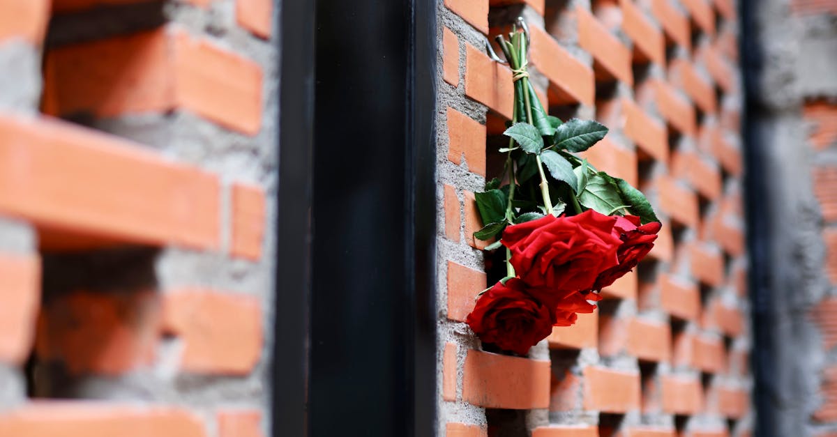 découvrez comment exploiter votre potentiel émotionnel pour améliorer votre bien-être et vos relations. apprenez à gérer vos émotions, à développer l'intelligence émotionnelle et à libérer votre force intérieure pour un épanouissement personnel optimal.