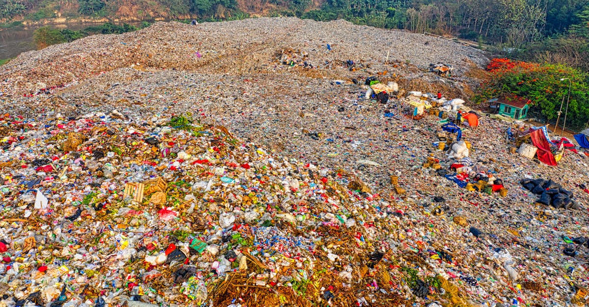 découvrez les caractéristiques d'une personnalité toxique, ses impacts sur votre bien-être et comment identifier et gérer ces relations nuisibles dans votre vie quotidienne.