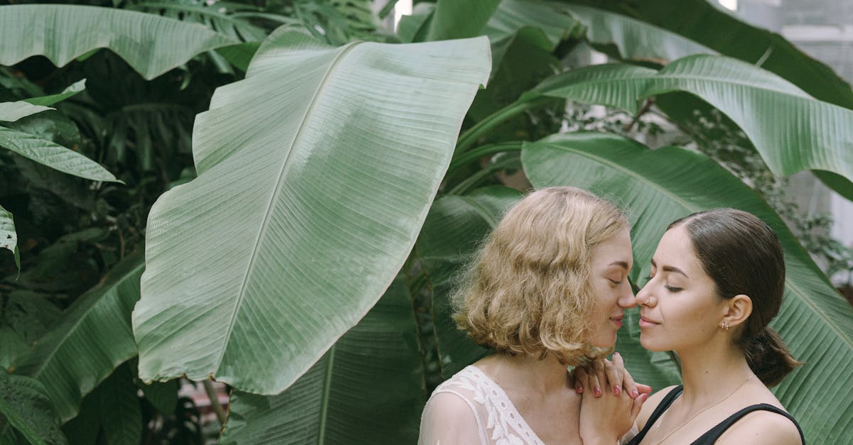 découvrez l'univers captivant du désir, une exploration profonde des passions humaines, des envies et des aspirations. plongez dans un voyage émotionnel où chaque sentiment prend vie et chaque désir devient une source d'inspiration.