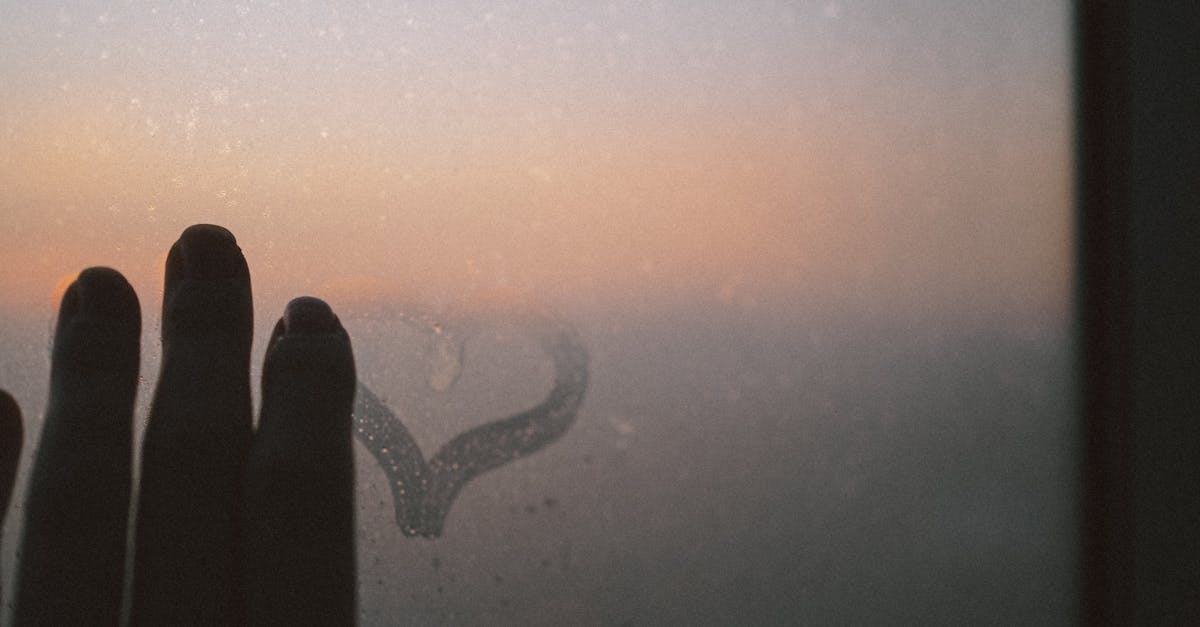 découvrez la compatibilité amoureuse entre les signes du zodiaque et explorez les dynamiques de votre relation. apprenez à mieux comprendre votre partenaire grâce à notre guide complet sur la compatibilité amoureuse.