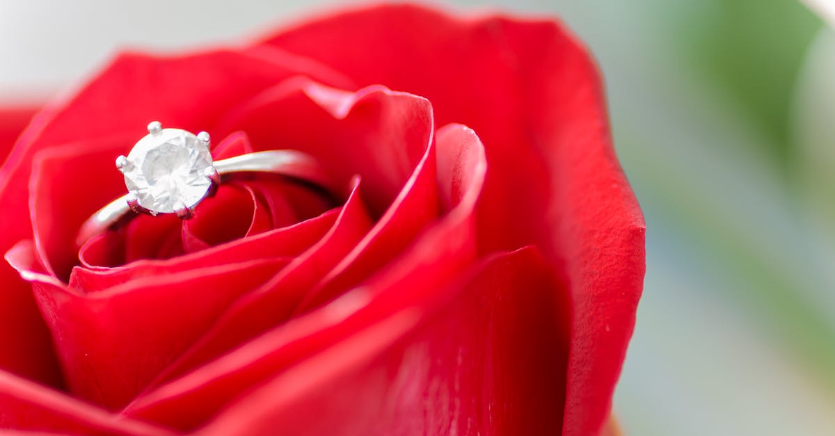 découvrez l'amour sous toutes ses formes : un voyage émotionnel à travers les relations, les passions et les connexions qui nous unissent. explorez des histoires inspirantes, des conseils et des réflexions sur ce sentiment universel qui illumine nos vies.