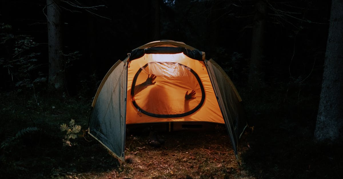 découvrez le sexe tantrique : une approche sensuelle et spirituelle de la sexualité pour renforcer l’intimité, le plaisir et la connexion avec votre partenaire. conseils et techniques pour explorer le tantra en toute confiance.