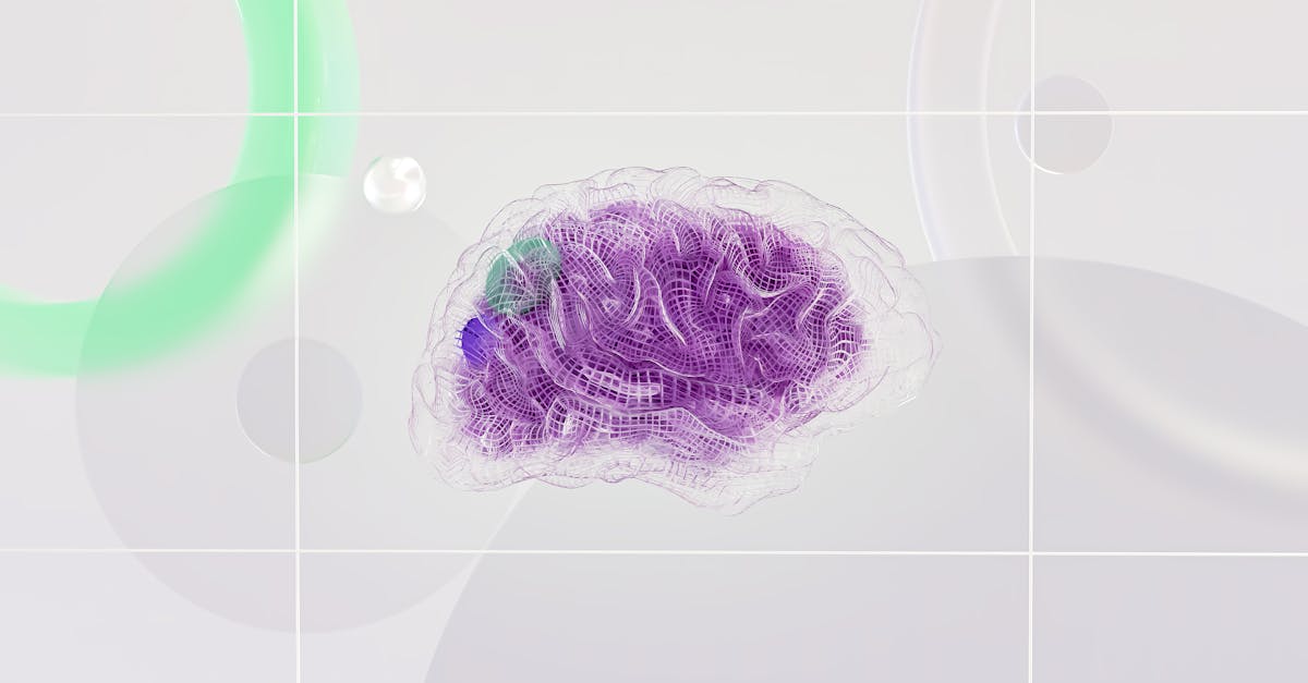 découvrez le rôle et les fonctions des hémisphères cérébraux, leur influence sur la pensée, la créativité et la logique, et comment chaque côté du cerveau contribue à nos capacités cognitives.