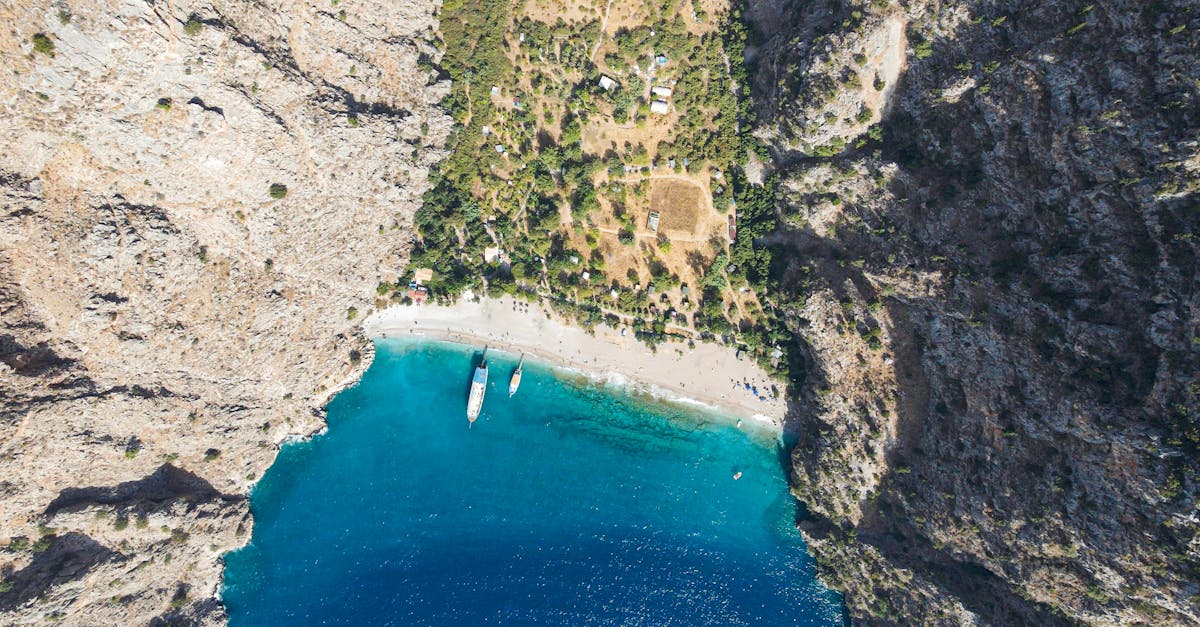 découvrez les différents aspects de l'attirance sexuelle : origines, facteurs psychologiques et biologiques, et son influence sur nos relations. explorez comment elle impacte le désir et l'intimité dans la vie quotidienne.