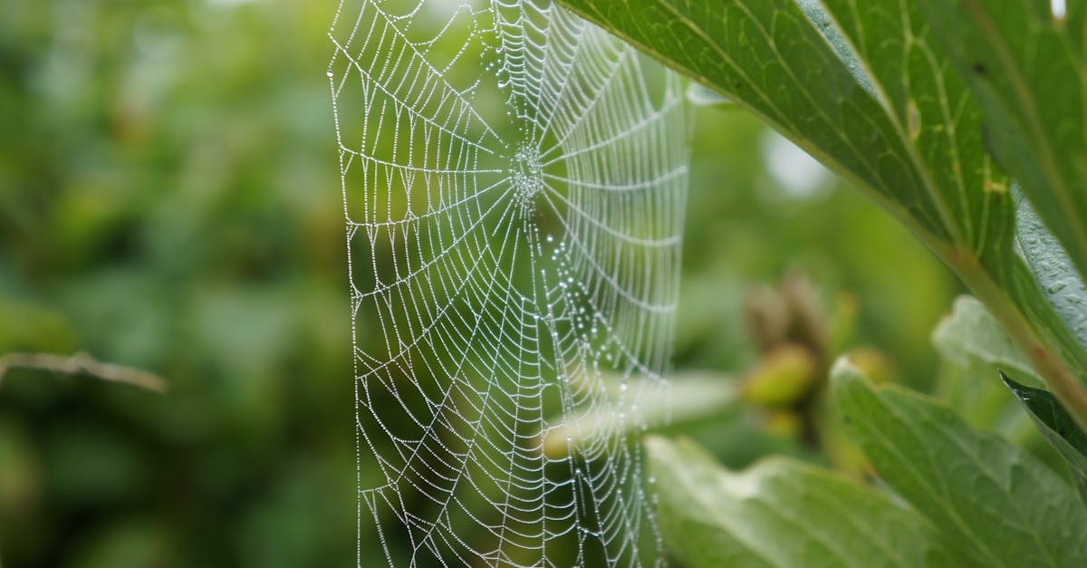 découvrez la synchronicité, ce concept fascinant qui explore les coïncidences significatives et les liens mystérieux entre les événements de notre vie. apprenez comment reconnaître et interpréter ces signes au quotidien.