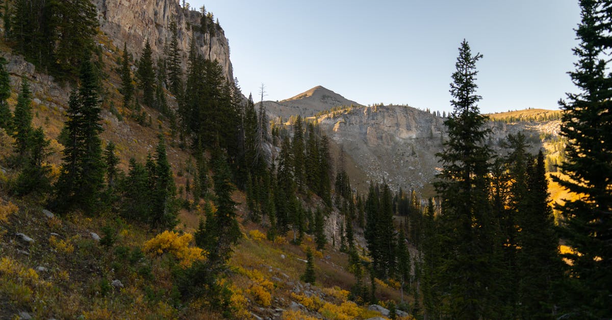 découvrez tout ce qu’il faut savoir sur la libido féminine : facteurs influents, solutions naturelles et conseils pour une vie intime épanouie. reprenez le contrôle de votre désir sexuel dès aujourd’hui !
