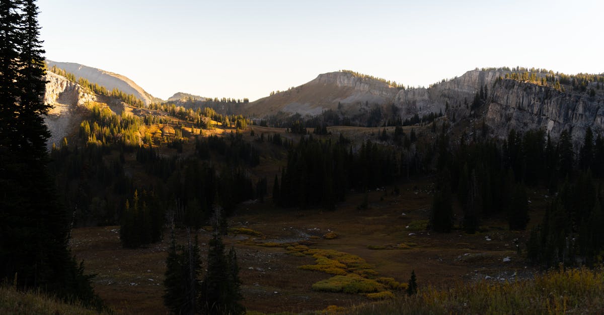 découvrez tout sur la libido féminine : facteurs, solutions naturelles et conseils pour améliorer le désir sexuel féminin au quotidien.