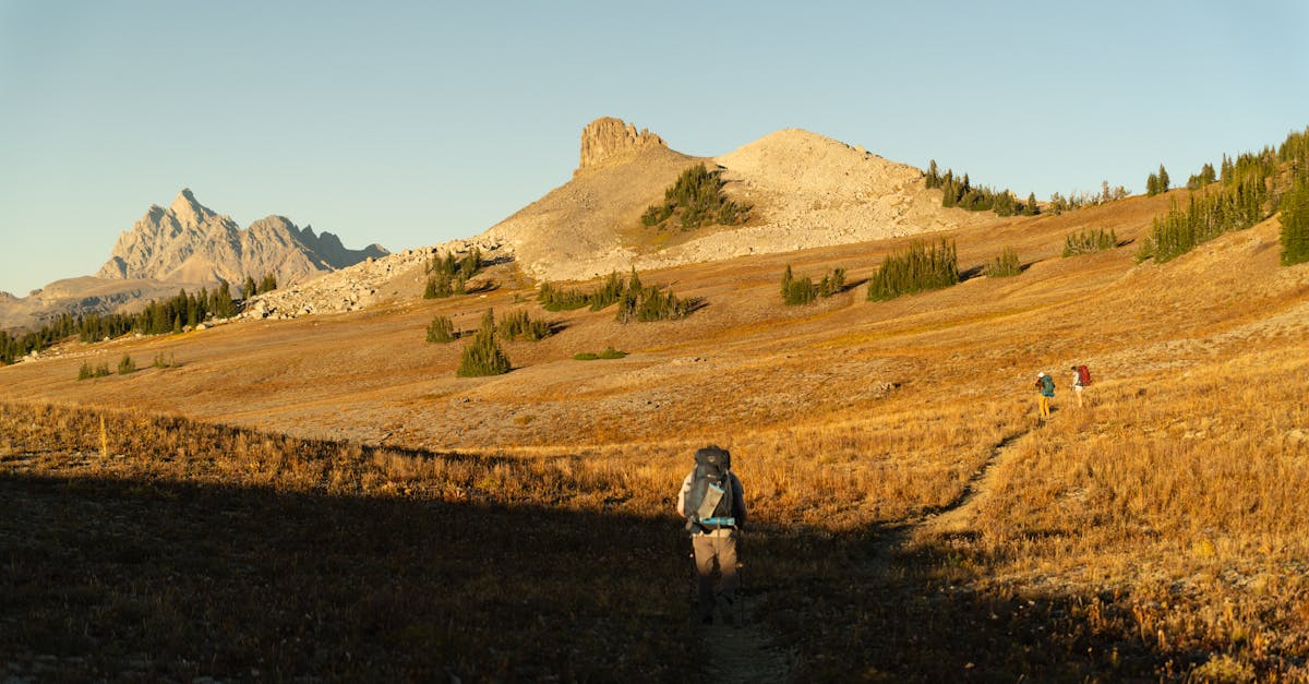 découvrez tout sur la libido féminine : causes, conseils et solutions pour mieux comprendre et stimuler le désir sexuel des femmes. réponses d'experts et informations essentielles.