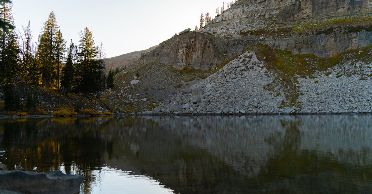 découvrez tout ce qu'il faut savoir sur la libido féminine : ses facteurs, les causes de la baisse du désir sexuel et des conseils pour améliorer votre bien-être et épanouissement sexuel.