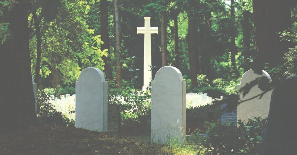 Comprendre le processus de deuil : conseils et soutien psychologique découvrez comment comprendre, traverser et surmonter le deuil avec des conseils pratiques, des ressources et des témoignages pour accompagner chaque étape du processus de grief.