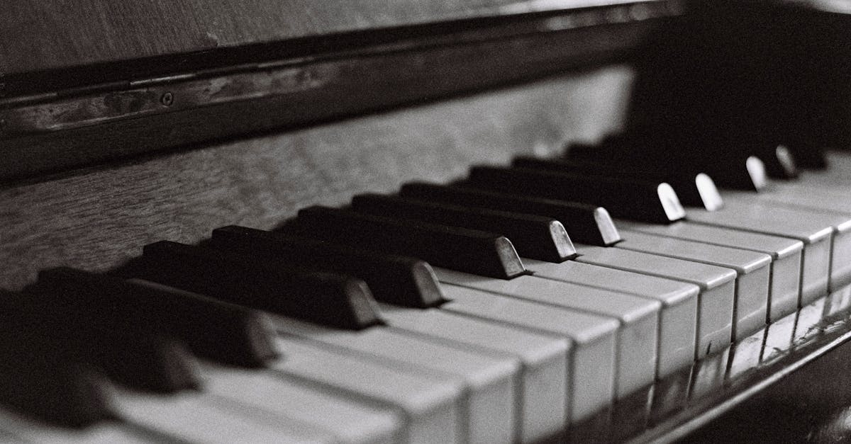 découvrez la théorie polyvagale : une approche innovante pour comprendre les réactions du système nerveux face au stress, à la sécurité et aux émotions, et améliorer votre bien-être au quotidien.