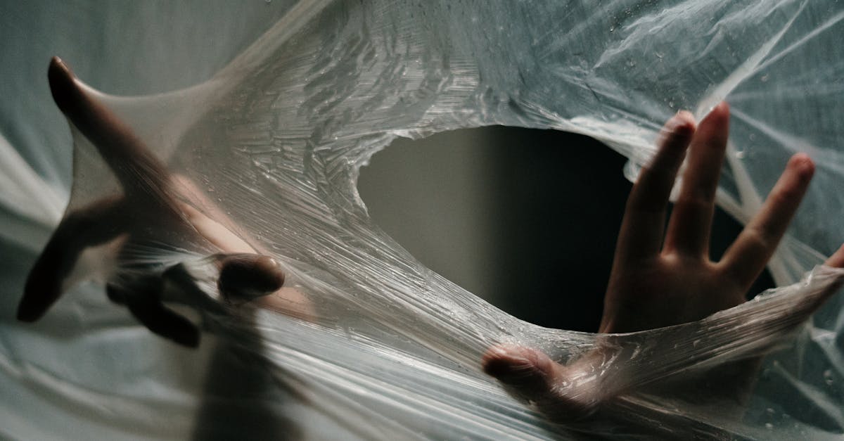 découvrez la résilience, cette capacité à rebondir face aux difficultés de la vie. explorez ses mécanismes psychologiques et des conseils pratiques pour développer votre force intérieure et mieux gérer les épreuves au quotidien.