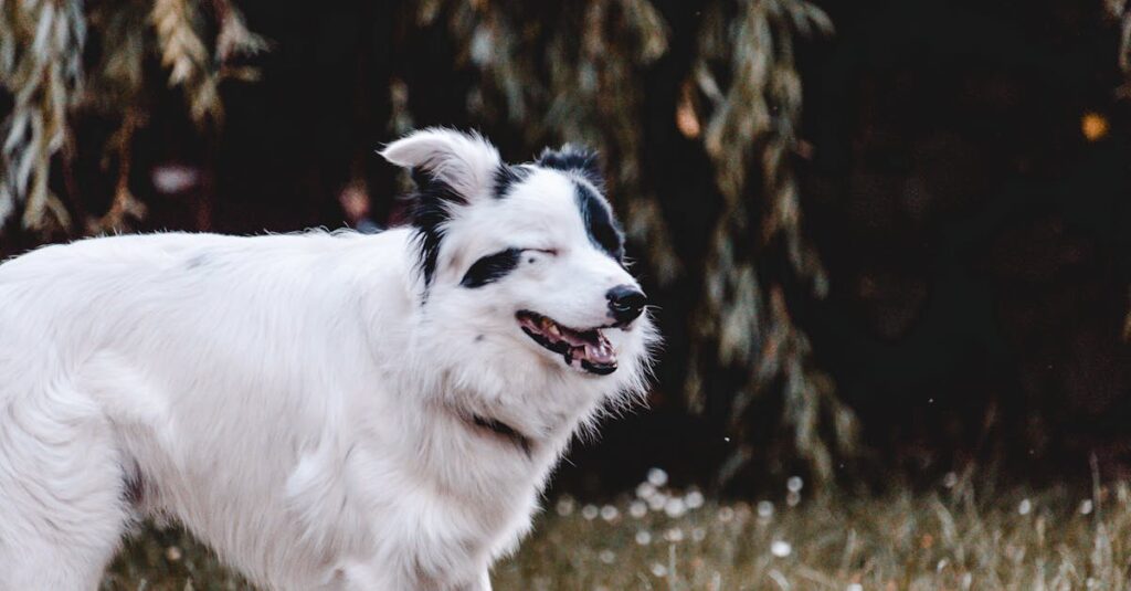 découvrez la complexité de l'amour conditionnel, ses implications et comment il influence nos relations au quotidien.