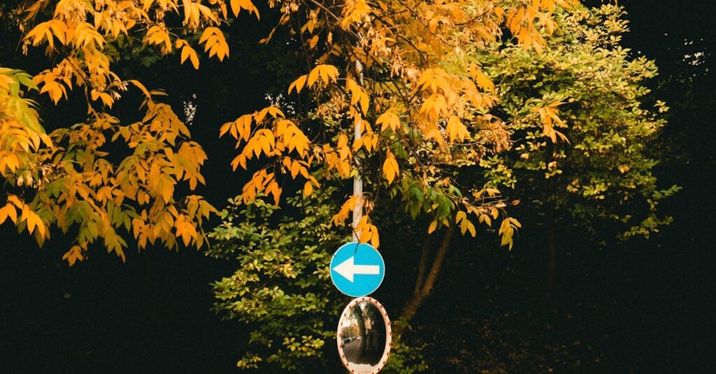 découvrez 'path of forgiveness', un parcours inspirant pour apprendre à pardonner, guérir les blessures émotionnelles et retrouver la paix intérieure.