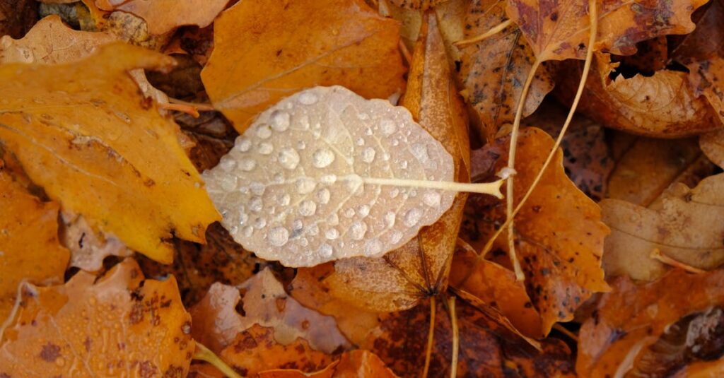 découvrez les causes courantes des appels interrompus et comment les éviter pour une communication fluide et sans coupures.
