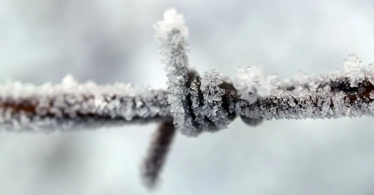 découvrez les différents mécanismes de défense psychologiques, leur rôle dans la gestion du stress et des émotions, et comment ils influencent notre comportement au quotidien.