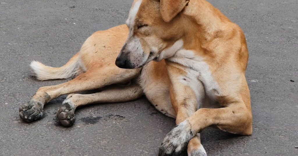 découvrez les techniques efficaces pour détecter les mensonges et améliorer votre capacité à discerner la vérité dans diverses situations.