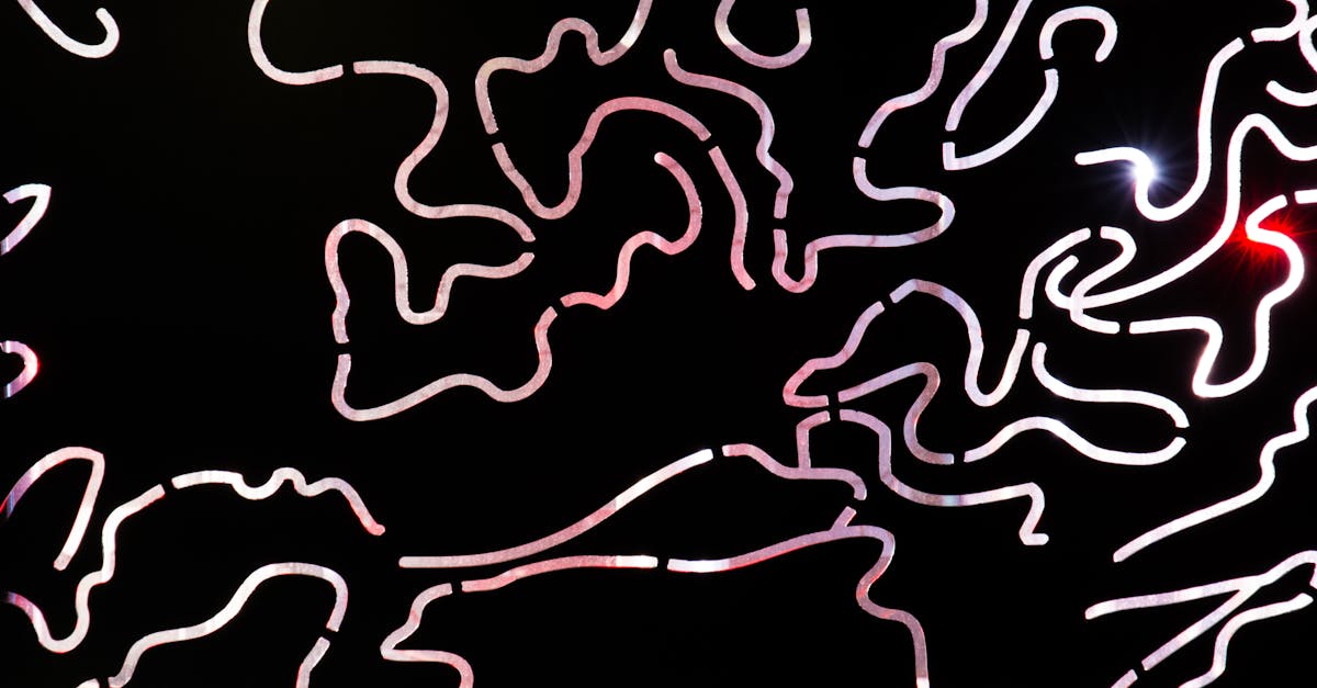 les ventricules cérébraux sont des cavités remplies de liquide céphalorachidien situées dans le cerveau, jouant un rôle crucial dans la protection et le fonctionnement du système nerveux central.