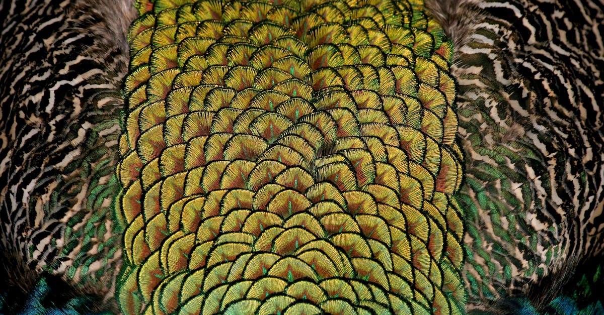 découvrez les ventricules cérébraux, des cavités remplies de liquide céphalorachidien situées dans le cerveau, essentielles pour la protection et le bon fonctionnement du système nerveux central.