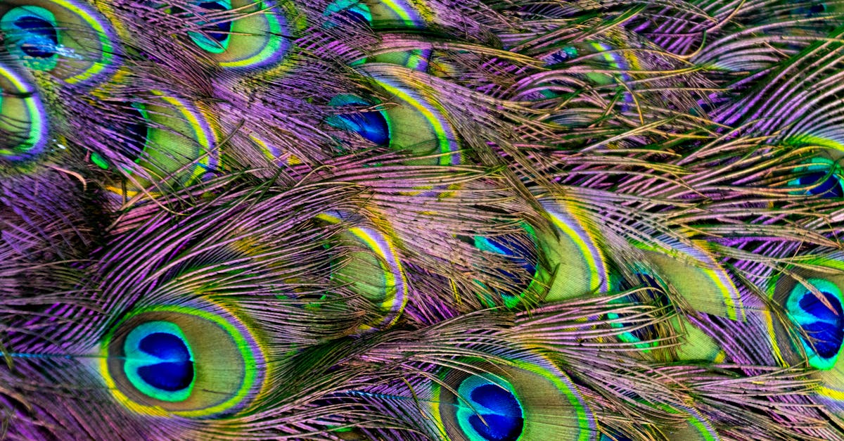découvrez la neurodivergence : comprendre les différentes formes de fonctionnement cérébral atypique, leurs caractéristiques, et l'importance de la diversité neurologique.