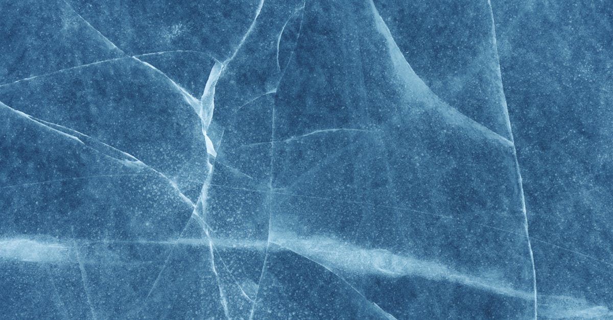 découvrez la neurogenèse, le processus fascinant de formation de nouveaux neurones dans le cerveau, essentiel pour l'apprentissage, la mémoire et la plasticité cérébrale.