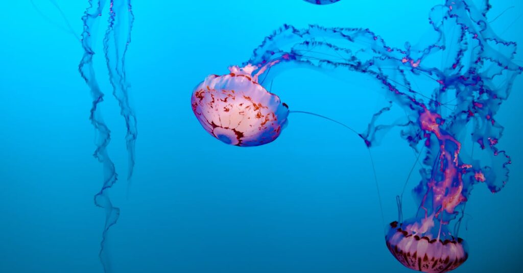 découvrez tout sur la neurogenèse, le processus fascinant de formation de nouveaux neurones dans le cerveau, ses mécanismes et son importance pour la santé cognitive.