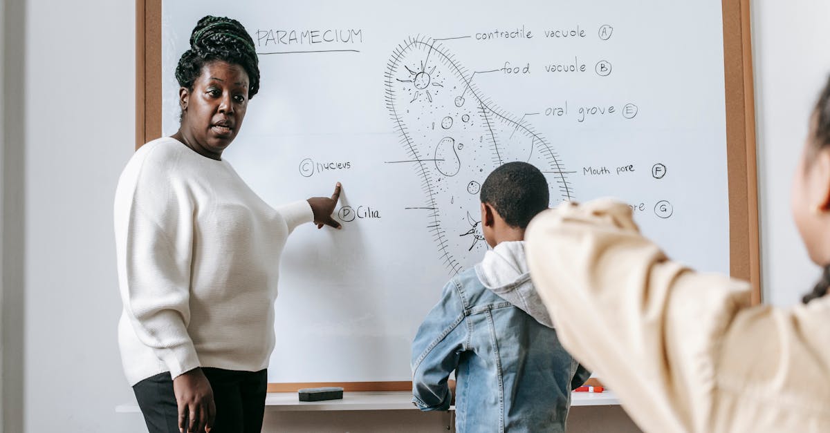 découvrez comment les biais des enseignants peuvent influencer la perception et le traitement des élèves atteints de tdah, et les moyens d'améliorer l'inclusion et le soutien en milieu scolaire.