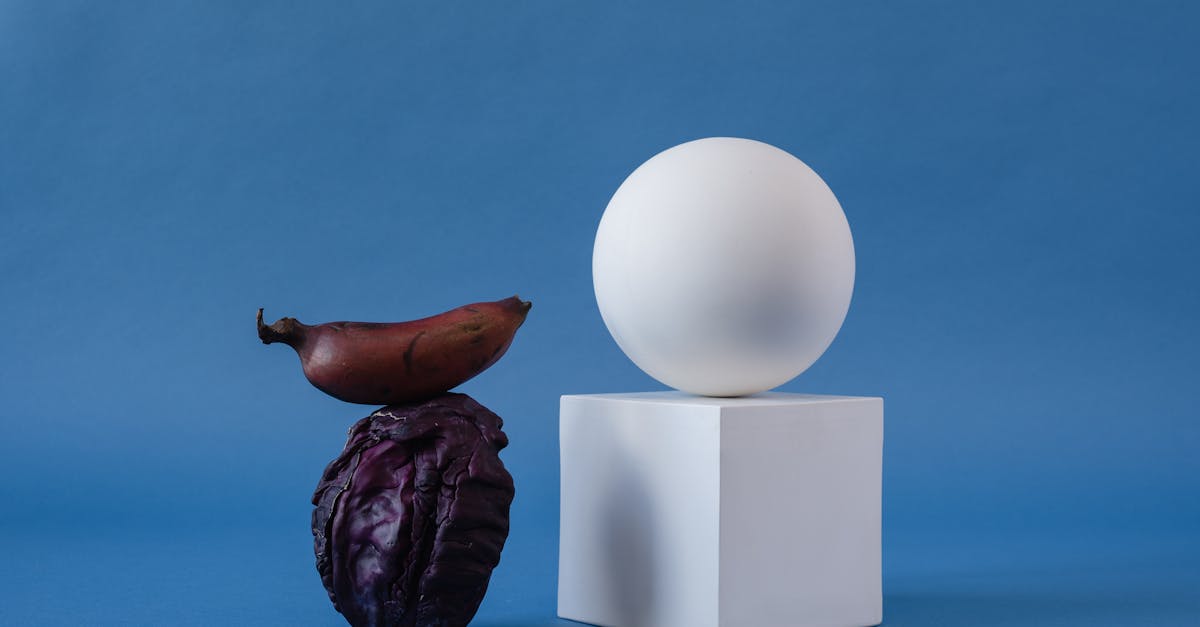 le lobe temporal est une région clé du cerveau impliquée dans la mémoire, la compréhension du langage et le traitement des informations auditives.