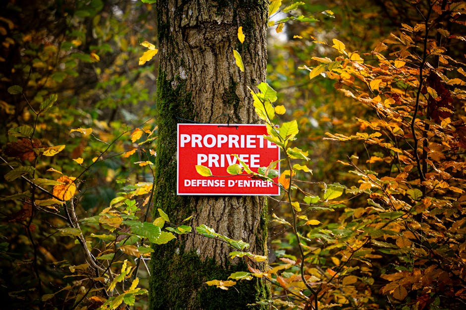 Exemples réels de managers piégés - Le sentiment d'imposture chez les nouveaux managers.