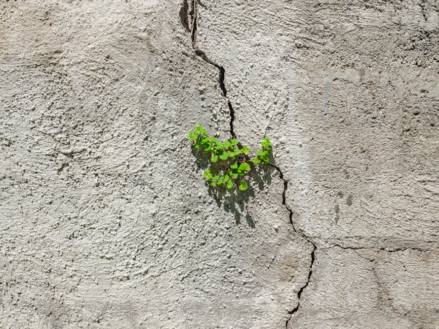 Intelligence émotionnelle : dominez vos réactions - Développer sa "Soft Resilience" face à la pression constante.