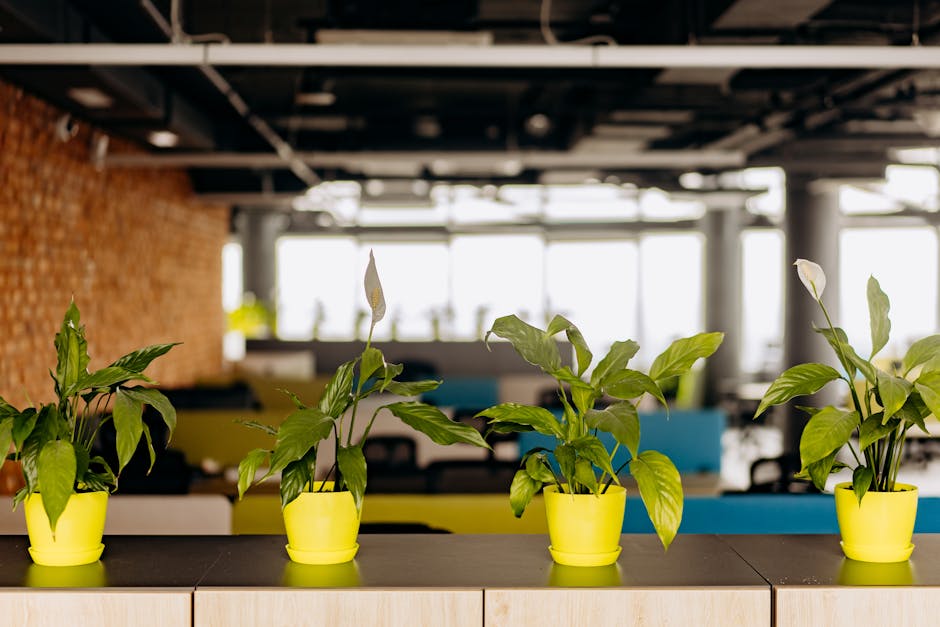 Open space biophilique avec plantes vertes et lumière naturelle